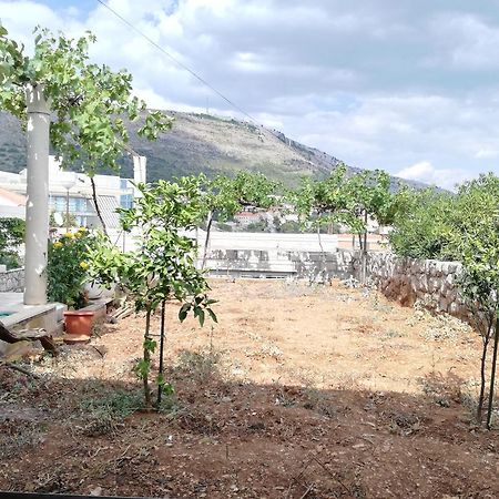 Apartment Vera Dubrovnik Luaran gambar